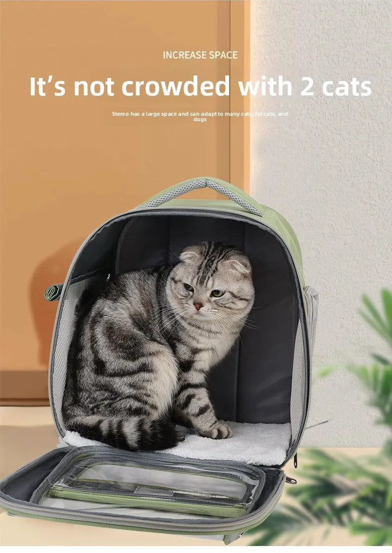 Cat backpack  outing schoolbag  double-shoulder pet bag  cat for travel  dog and cat supplies  transparent large-capacity portab