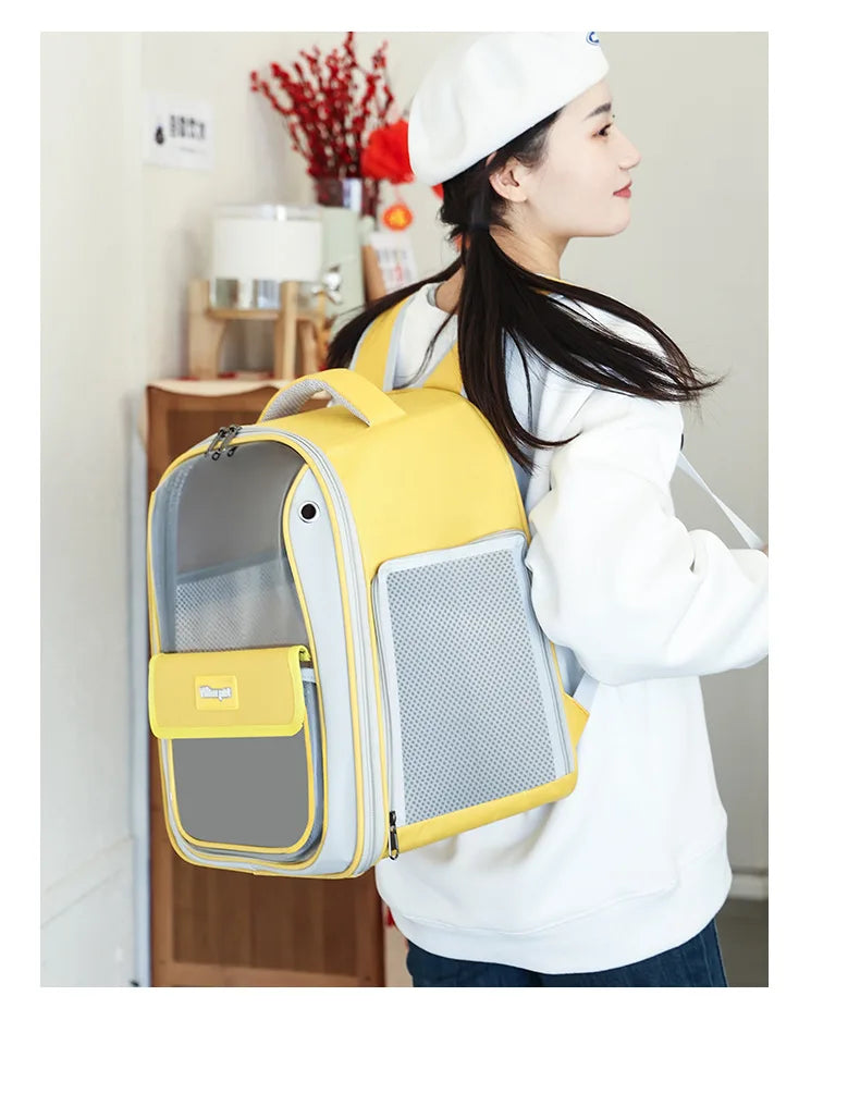 Cat backpack  outing schoolbag  double-shoulder pet bag  cat for travel  dog and cat supplies  transparent large-capacity portab